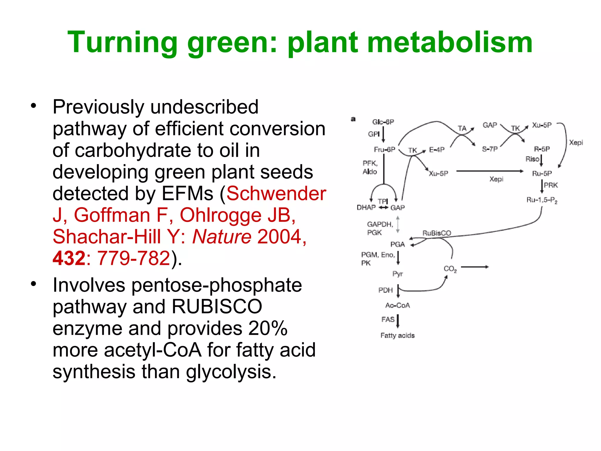 Turning green: plant metabolism
• Previously undescribed
pathway of efficient conversion
of carbohydrate to oil in
developing green plant seeds
detected by EFMs (Schwender
J, Goffman F, Ohlrogge JB,
Shachar-Hill Y: Nature 2004,
432: 779-782).
• Involves pentose-phosphate
pathway and RUBISCO
enzyme and provides 20%
more acetyl-CoA for fatty acid
synthesis than glycolysis.
 