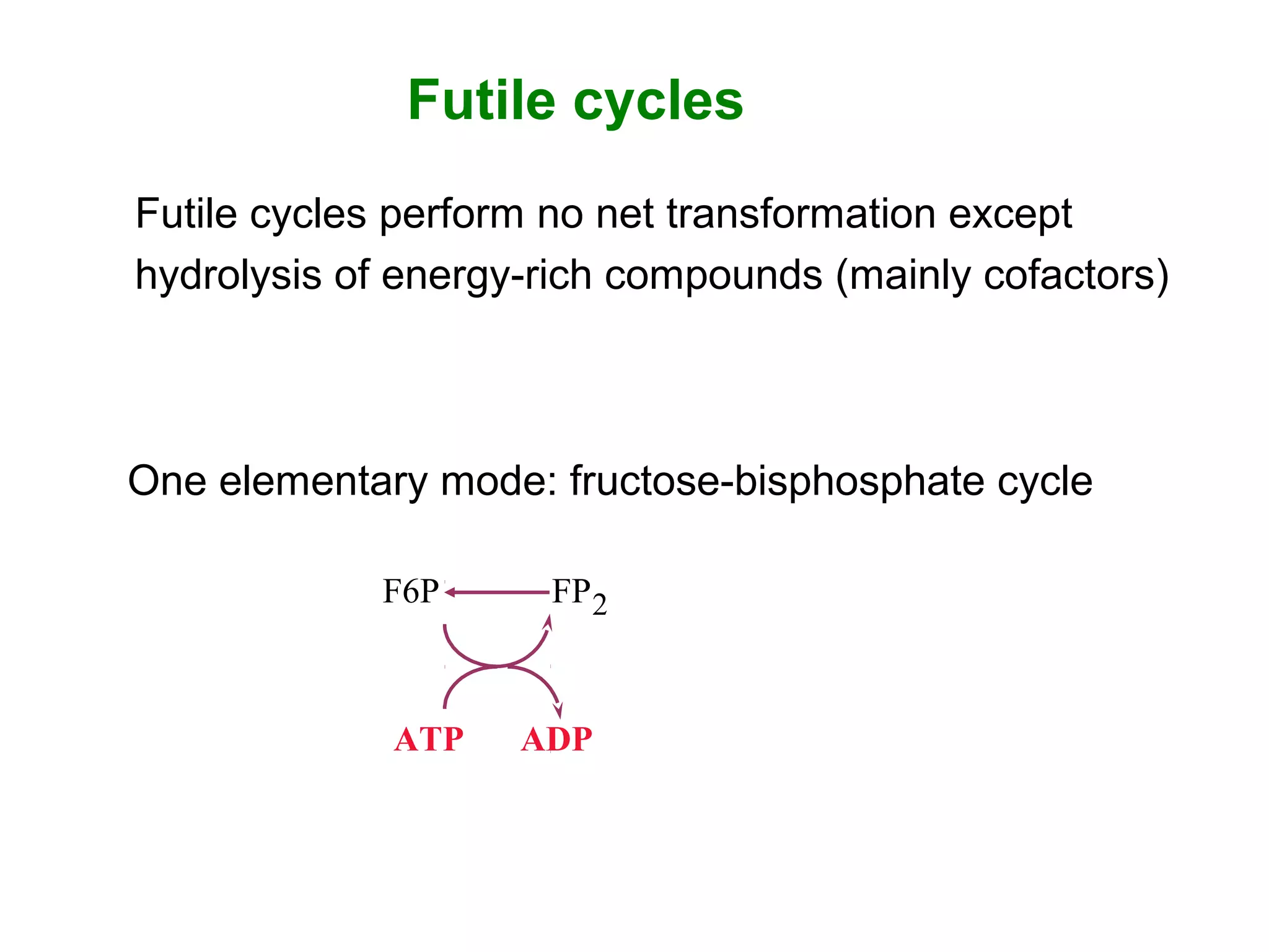 ATP ADP
F6P FP2
Futile cycles
One elementary mode: fructose-bisphosphate cycle
Futile cycles perform no net transformation except
hydrolysis of energy-rich compounds (mainly cofactors)
 