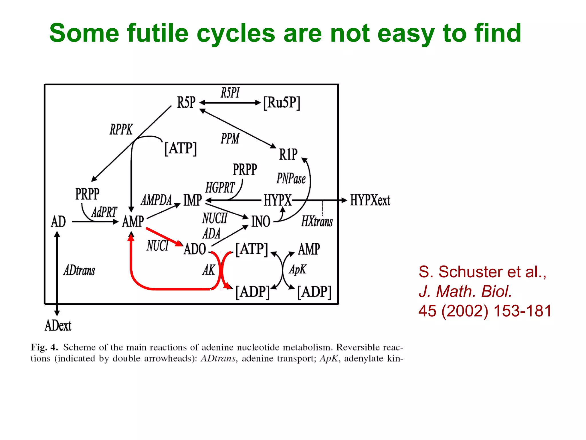 S. Schuster et al.,
J. Math. Biol.
45 (2002) 153-181
Some futile cycles are not easy to find
 