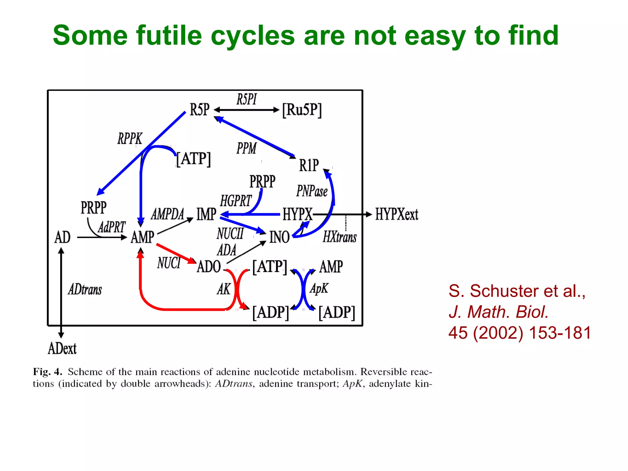S. Schuster et al.,
J. Math. Biol.
45 (2002) 153-181
Some futile cycles are not easy to find
 