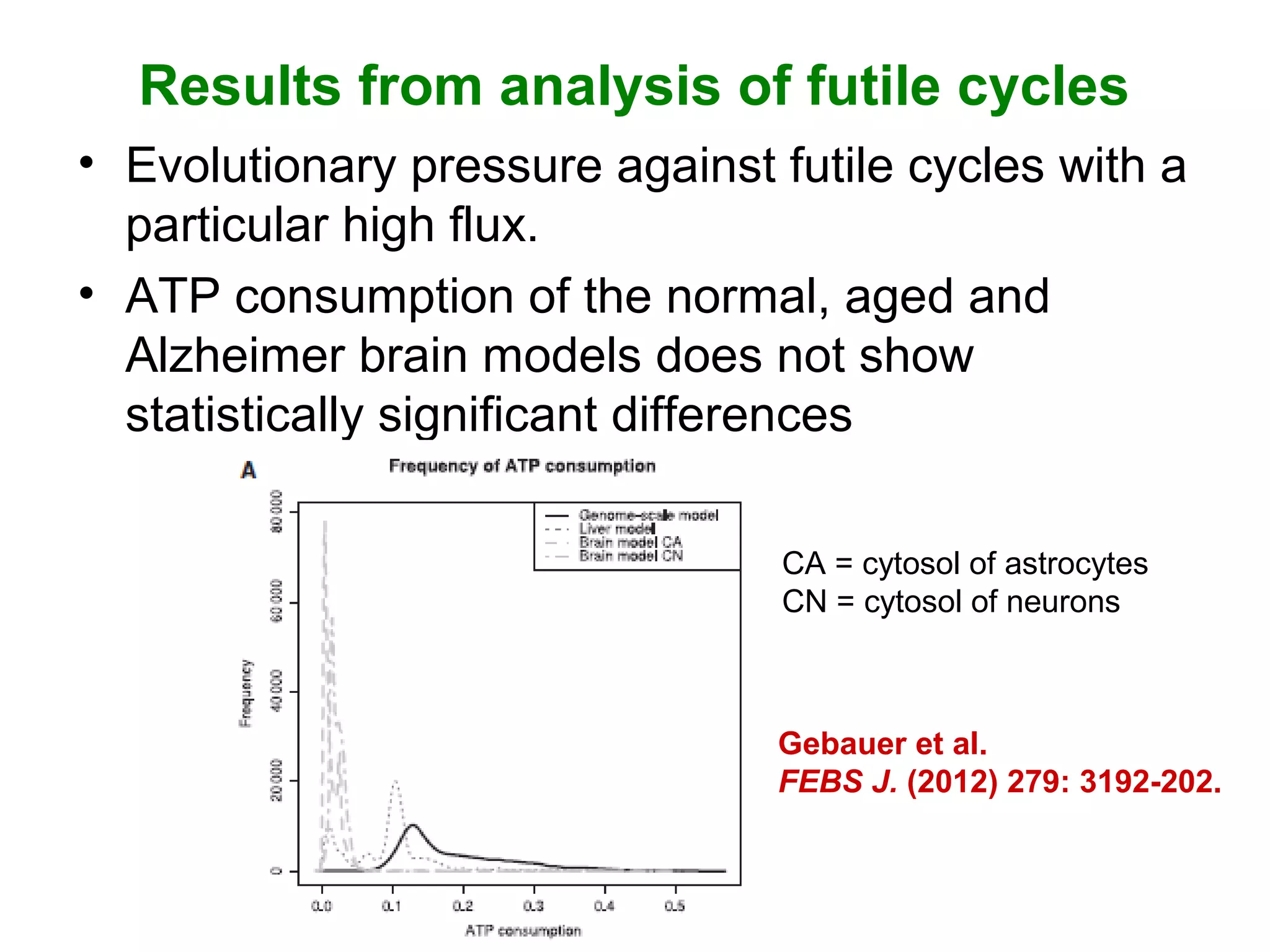 Results from analysis of futile cycles
• Evolutionary pressure against futile cycles with a
particular high flux.
• ATP consumption of the normal, aged and
Alzheimer brain models does not show
statistically significant differences
CA = cytosol of astrocytes
CN = cytosol of neurons
Gebauer et al.
FEBS J. (2012) 279: 3192-202.
 