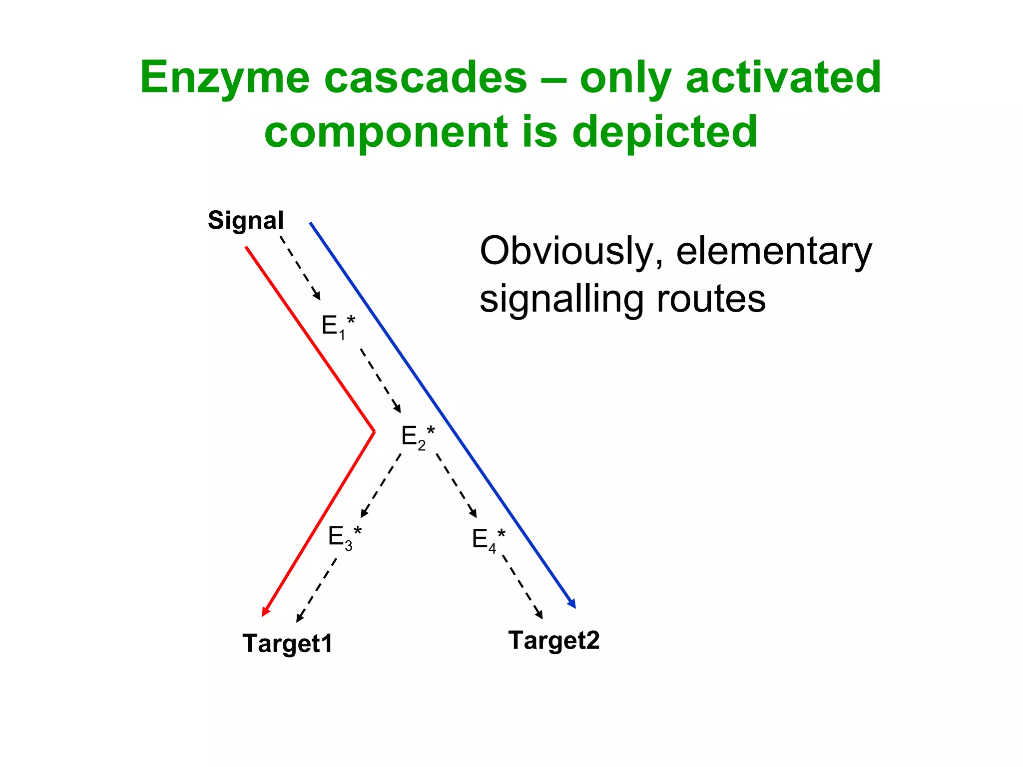 Enzyme cascades – only activated
component is depicted
Signal
E1*
E2*
E4*
Target2Target1
E3*
Obviously, elementary
signalling routes
 