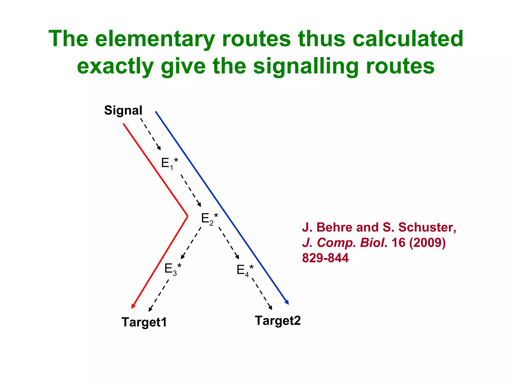 The elementary routes thus calculated
exactly give the signalling routes
Signal
E1*
E2*
E4*
Target2Target1
E3*
J. Behre and S. Schuster,
J. Comp. Biol. 16 (2009)
829-844
 