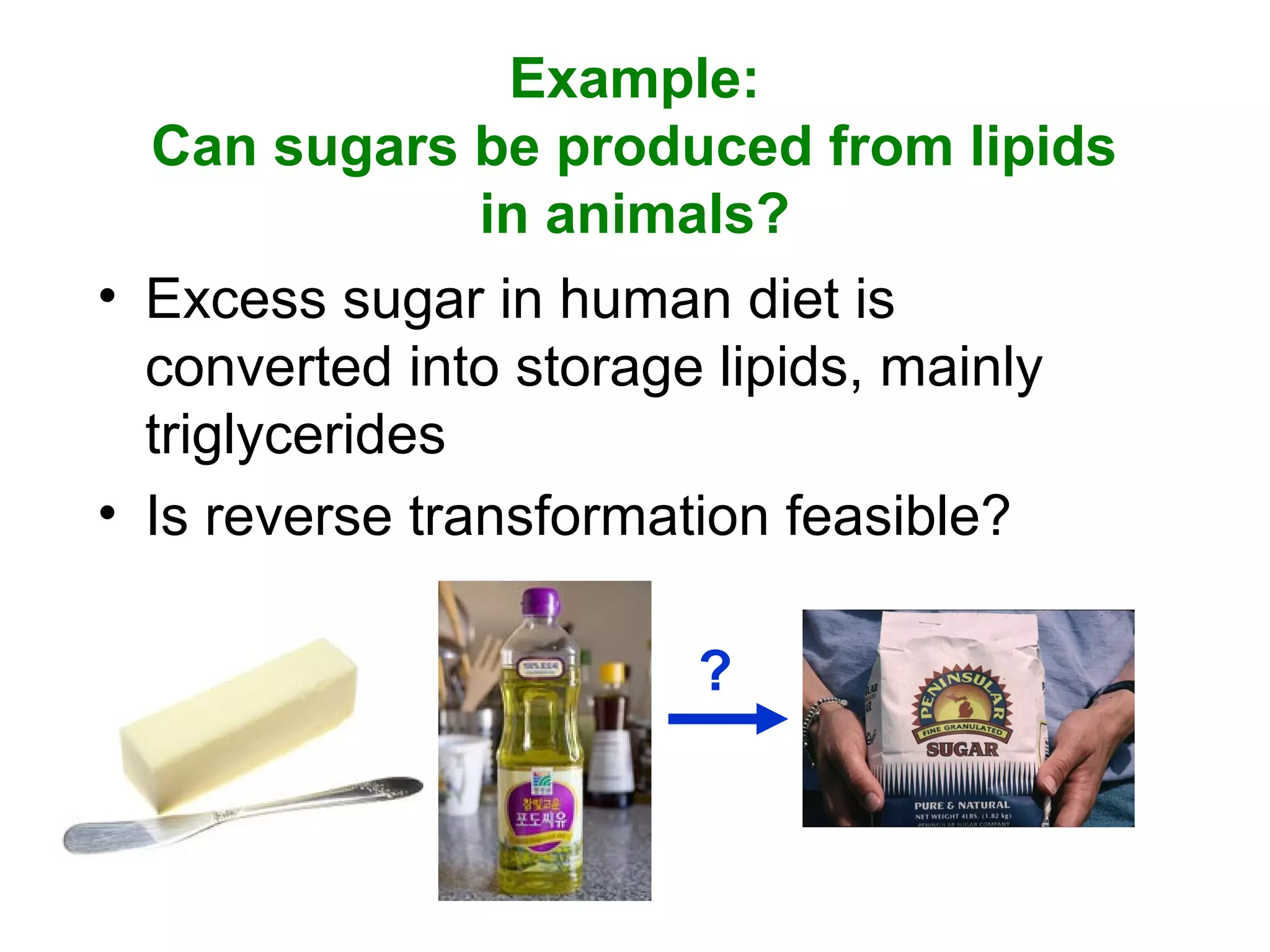 Example:
Can sugars be produced from lipids
in animals?
• Excess sugar in human diet is
converted into storage lipids, mainly
triglycerides
• Is reverse transformation feasible?
?
 