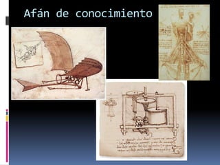 Afán de conocimiento