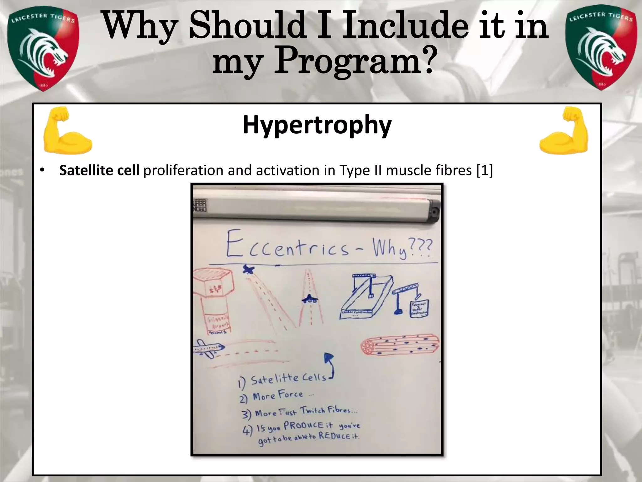 Pete Burridge
Leicester Tigers Academy S & C Coach
M
Why Should I Include it in
my Program?
Hypertrophy
• Satellite cell proliferation and activation in Type II muscle fibres [1]
 