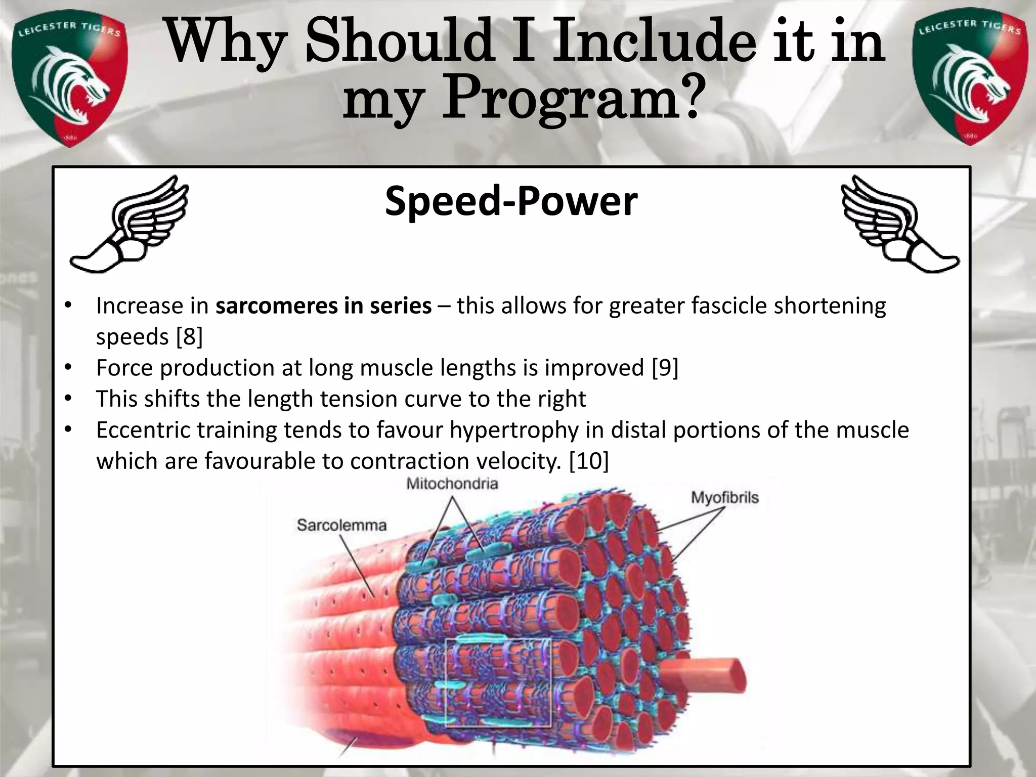 Pete Burridge
Leicester Tigers Academy S & C Coach
M
Why Should I Include it in
my Program?
Speed-Power
• Increase in sarcomeres in series – this allows for greater fascicle shortening
speeds [8]
• Force production at long muscle lengths is improved [9]
• This shifts the length tension curve to the right
• Eccentric training tends to favour hypertrophy in distal portions of the muscle
which are favourable to contraction velocity. [10]
 