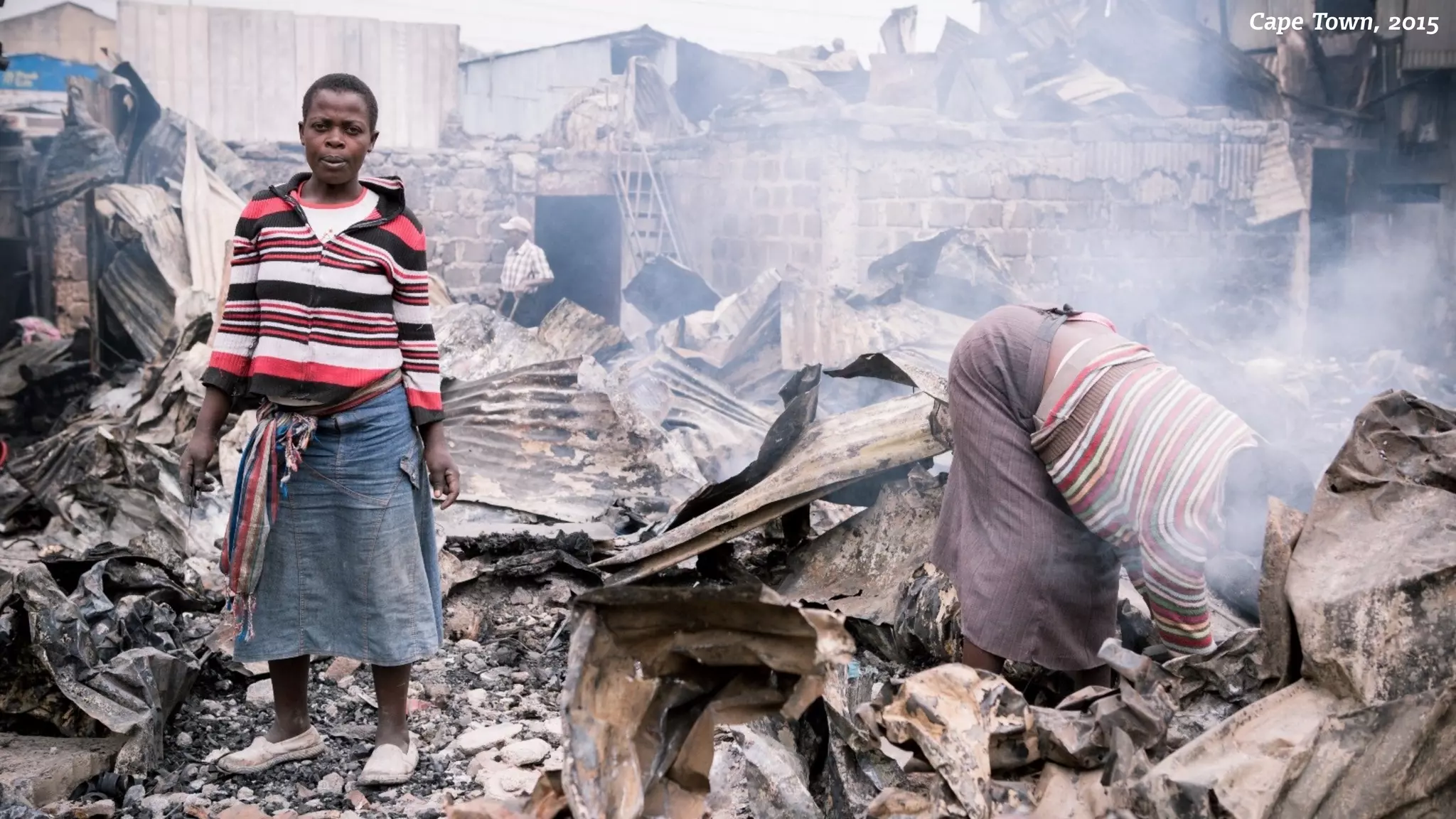 frog
Cape Town, 2015
 