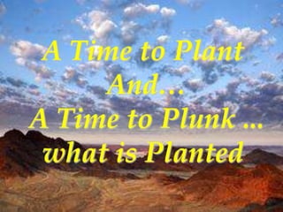 A Time to Plant
     And…
A Time to Plunk ...
 what is Planted
 