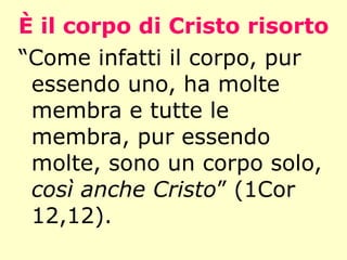 È il corpo di Cristo risorto “ Come infatti il corpo, pur essendo uno, ha molte membra e tutte le membra, pur essendo molte, sono un corpo solo,  così anche Cristo ” (1Cor 12,12). 
