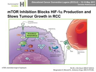 mTOR Inhibition Blocks HIF-1 Production and Slows Tumour Growth in RCCEverolimusTemsirolimusmTOR, mammalian target of rapamycin.Rini BI. J Clin Oncol. 2009;27:3225-34.Morgensztern D, McLeod HL. Anticancer Drugs. 2005;16:797-803.