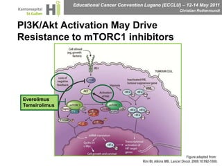 PI3K/Akt Activation May Drive Resistance to mTORC1 inhibitors EverolimusTemsirolimusFigure adapted from: Rini BI, Atkins MB. Lancet Oncol. 2009;10:992-1000.