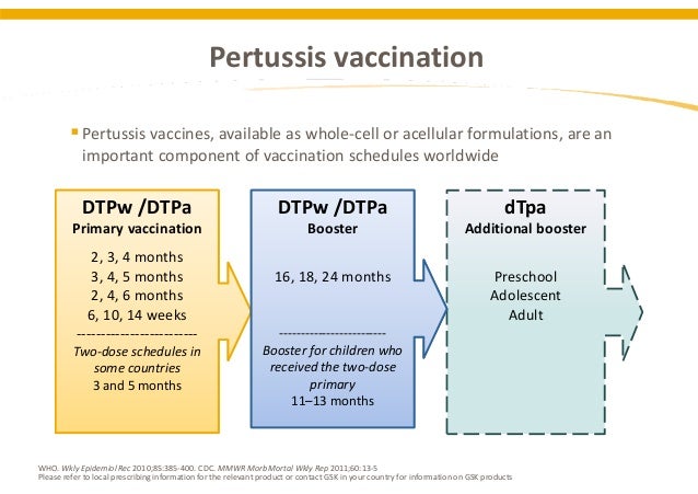 PERTUSSIS PROTECTION  CURRENT SCHEDULES IN EUROPE