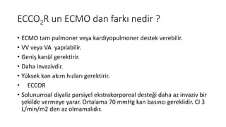 ECCO2R | PDF