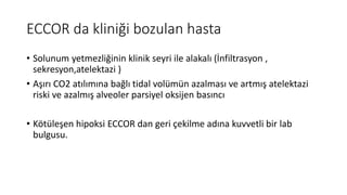 ECCO2R | PDF