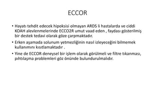 ECCO2R | PDF