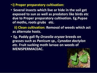 •i) Proper preparatory cultivation:
• Several insects which live or hide in the soil get
exposed to sun as well as predators like birds etc
due to Proper preparatory cultivation. Eg.Pupae
of moths, roots grubs etc.
• ii) Clean cultivation: Removal of weeds which act
as alternate hosts.
• Eg. Paddy gall fly Orseolia oryzae breeds on
grasses such as Panicum sp., Cynodon dactylon
etc. Fruit sucking moth larvae on weeds of
MENISPERMACEAC.
 