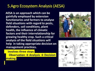 5.Agro Ecosystem Analysis (AESA)
AESA is an approach which can be
gainfully employed by extension
functionaries and farmers to analyse
field situations with regard to pests,
defenders, soil conditions, plant
health, the influence of climatic
factors and their interrelationship for
growing healthy crop. Such a critical
analysis of the field situations will
help in taking appropriate decision on
management practices.
involves three steps
Observation → Analysis → Decision
making
 