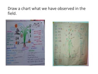 Draw a chart what we have observed in the
field.
 
