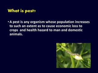 What is pest?
•A pest is any organism whose population increases
to such an extent as to cause economic loss to
crops and health hazard to man and domestic
animals.
 