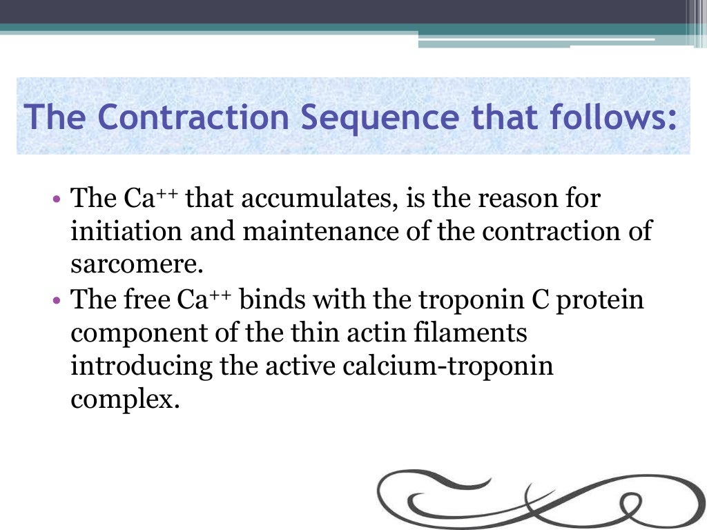 Excitation Contraction Coupling