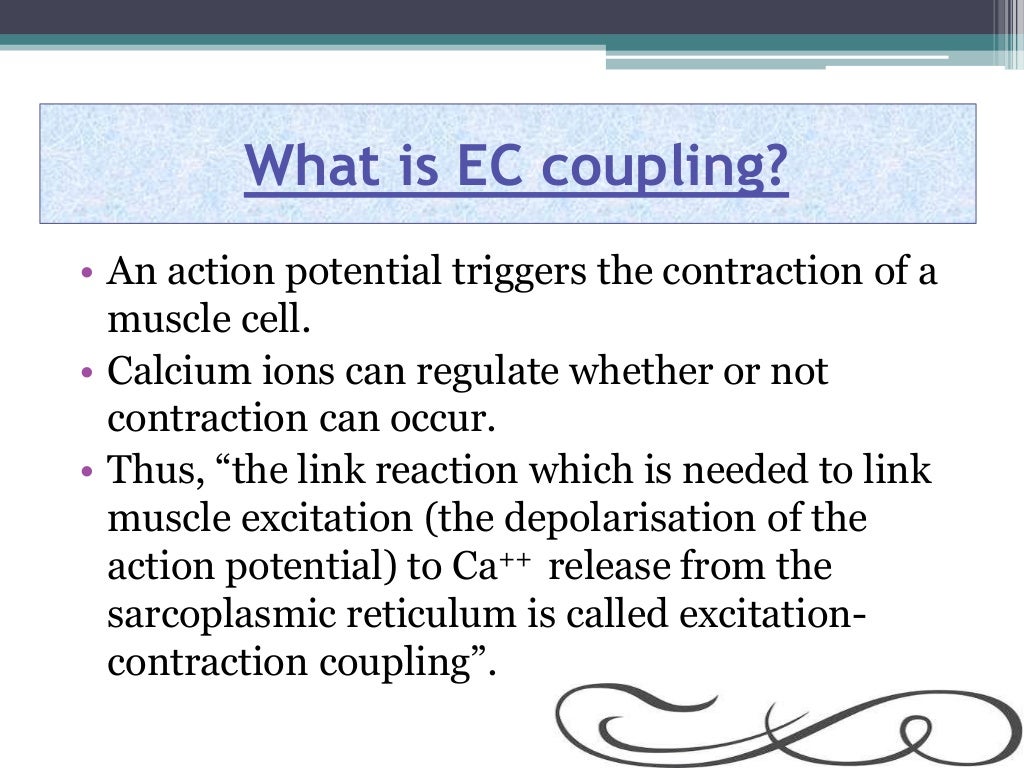 Excitation Contraction Coupling