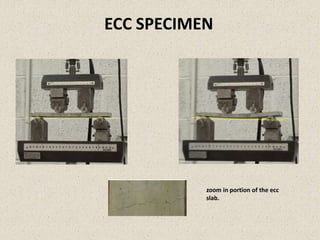 ECC SPECIMEN
zoom in portion of the ecc
slab.
 