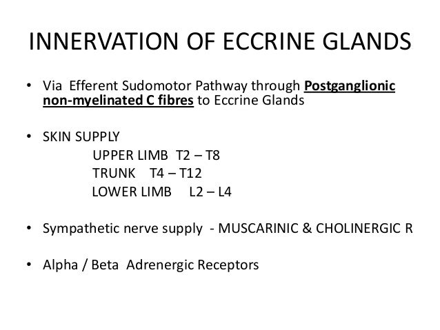 eccrine glands by aseem