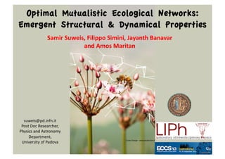Optimal Mutualistic Ecological Networks: 
Emergent Structural & Dynamical Properties 
Samir 
Suweis, 
Filippo 
Simini, 
Jayanth 
Banavar 
and 
Amos 
Maritan 
suweis@pd.infn.it 
Post 
Doc 
Researcher, 
Physics 
and 
Astronomy 
Department, 
University 
of 
Padova 
Welcome to Amos Maritan Lab 
!!!!!!!!!!!!!!!!!!!!! 
J-.% K%&%'$() L%-*1% L#?10('/0-+& F%'()0+2 6-11'?-$'/-$& "**-$/#+0/0%& 6-+/'(/& 
<+!/)%!&*0$0/!-,!/)%!.-//-!=0+/%$70&(0*10+'$0/4!0&!70'1-2=!/)%!'0.!-,!/)%!>'?!0&!/- 
,'(%!?0-1-20('1!'+7!%(-1-20('1!*$-?1%.&!0+!(-11'?-$'/0-+!80/)!%@*%$/&!-,!/)%!,0%175 
A-/!.0@0+2!-#$!%@*%$/0&%&B!?#/!&#..0+2!/)%.!#*5! 
 