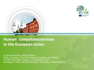 Dr Andrea Ammon, Acting Director
ECDC, European Centre for Disease Prevention and Control
EP ENVI committee meeting, 15 September 2015
Exchange of views with the European Commission, EFSA and ECDC
Human campylobacteriosis
in the European Union
 