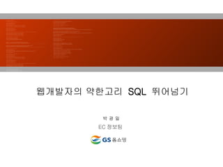 웹개발자의 약한고리  SQL  뛰어넘기   박 광 일 