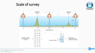 Scale of survey
 