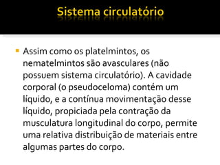 Assim como os platelmintos, os nematelmintos são avasculares (não possuem sistema circulatório). A cavidade corporal (o pseudoceloma) contém um líquido, e a contínua movimentação desse líquido, propiciada pela contração da musculatura longitudinal do corpo, permite uma relativa distribuição de materiais entre algumas partes do corpo. 