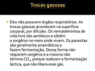 Eles não possuem órgãos respiratórios. As trocas gasosas acontecem na superfície corporal, por difusão. Os nematelmintos de vida livre são aeróbicos e obtêm o oxigênio no meio onde vivem. Os parasitas são geralmente anaeróbicos e fazem fermentação. Dessa forma não requerem oxigênio e a maioria não elimina CO 2 , porque realizam a fermentação láctica, que não libera esse gás. 