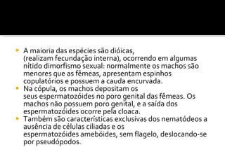 A maioria das espécies são dióicas, (realizam fecundação interna), ocorrendo em algumas nítido dimorfismo sexual: normalmente os machos são menores que as fêmeas, apresentam espinhos copulatórios e possuem a cauda encurvada. Na cópula, os machos depositam os seus espermatozóides no poro genital das fêmeas. Os machos não possuem poro genital, e a saída dos espermatozóides ocorre pela cloaca. Também são características exclusivas dos nematódeos a ausência de células ciliadas e os espermatozóides amebóides, sem flagelo, deslocando-se por pseudópodos. 