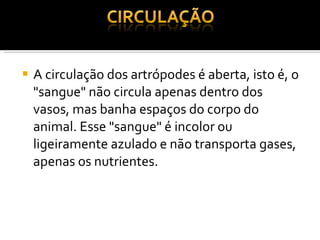 A circulação dos artrópodes é aberta, isto é, o "sangue" não circula apenas dentro dos vasos, mas banha espaços do corpo do animal. Esse "sangue" é incolor ou ligeiramente azulado e não transporta gases, apenas os nutrientes. 