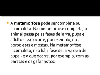 A  metamorfose  pode ser completa ou incompleta. Na metamorfose completa, o animal passa pelas fases de larva, pupa e adulto - isso ocorre, por exemplo, nas borboletas e moscas. Na metamorfose incompleta, não há a fase de larva ou a de pupa - é o que ocorre, por exemplo, com as baratas e os gafanhotos. 
