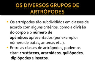 Os artrópodes são subdivididos em classes de acordo com alguns critérios, como a  divisão do corpo  e o  número de apêndices  apresentados (por exemplo: número de patas, antenas etc.). Entre as classes de artrópodes, podemos citar:  crustáceos ,  aracnídeos ,  quilópodes ,    diplópodes  e  insetos . 