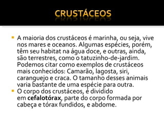 A maioria dos crustáceos é marinha, ou seja, vive nos mares e oceanos. Algumas espécies, porém, têm seu habitat na água doce, e outras, ainda, são terrestres, como o tatuzinho-de-jardim. Podemos citar como exemplos de crustáceos mais conhecidos: Camarão, lagosta, siri, caranguejo e craca. O tamanho desses animais varia bastante de uma espécie para outra. O corpo dos crustáceos, é dividido em  cefalotórax , parte do corpo formada por cabeça e tórax fundidos, e abdome. 