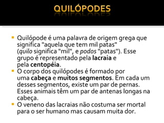 Quilópode é uma palavra de origem grega que significa "aquela que tem mil patas" ( quilo  significa "mil", e  podos  "patas"). Esse grupo é representado pela  lacraia  e pela  centopéia . O corpo dos quilópodes é formado por uma  cabeça  e  muitos segmentos . Em cada um desses segmentos, existe um par de pernas. Esses animais têm um par de antenas longas na cabeça. O veneno das lacraias não costuma ser mortal para o ser humano mas causam muita dor. 