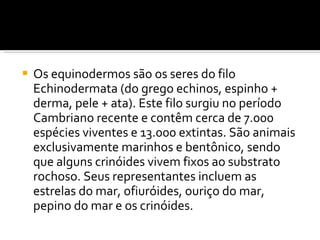 Os equinodermos são os seres do filo Echinodermata (do grego echinos, espinho + derma, pele + ata). Este filo surgiu no período Cambriano recente e contêm cerca de 7.000 espécies viventes e 13.000 extintas. São animais exclusivamente marinhos e bentônico, sendo que alguns crinóides vivem fixos ao substrato rochoso. Seus representantes incluem as estrelas do mar, ofiuróides, ouriço do mar, pepino do mar e os crinóides. 