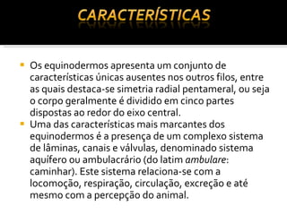 Os equinodermos apresenta um conjunto de características únicas ausentes nos outros filos, entre as quais destaca-se simetria radial pentameral, ou seja o corpo geralmente é dividido em cinco partes dispostas ao redor do eixo central. Uma das características mais marcantes dos equinodermos é a presença de um complexo sistema de lâminas, canais e válvulas, denominado sistema aquífero ou ambulacrário (do latim  ambulare : caminhar). Este sistema relaciona-se com a locomoção, respiração, circulação, excreção e até mesmo com a percepção do animal.  