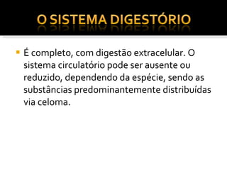 É completo, com digestão extracelular. O sistema circulatório pode ser ausente ou reduzido, dependendo da espécie, sendo as substâncias predominantemente distribuídas via celoma.  