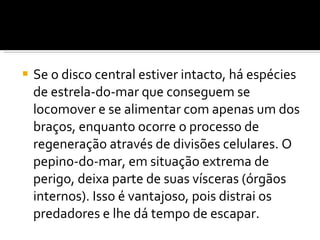 Se o disco central estiver intacto, há espécies de estrela-do-mar que conseguem se locomover e se alimentar com apenas um dos braços, enquanto ocorre o processo de regeneração através de divisões celulares. O pepino-do-mar, em situação extrema de perigo, deixa parte de suas vísceras (órgãos internos). Isso é vantajoso, pois distrai os predadores e lhe dá tempo de escapar. 