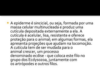 A epiderme é sincicial, ou seja, formada por uma massa celular multinucleada e produz uma cutícula depositada externamente a ela. A cutícula é acelular, lisa, resistente e oferece proteção para o animal; em algumas formas, ela apresenta projeções que ajudam na locomoção. A cutícula tem de ser mudada para o animal crescer, um processo denominado ecdise - que coloca este filo no grupo dos Ecdysozoa, juntamente com os artrópodes e outros filos. 