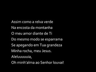 Assim como a relva verde Na encosta da montanha O meu amor diante de Ti Do mesmo modo se esparrama Se apegando em Tua grandeza Minha rocha, meu Jesus. Aleluuuuuia, Oh minh’alma ao Senhor louvai! 