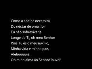 Como a abelha necessita Do néctar de uma flor Eu não sobreviveria Longe de Ti, oh meu Senhor Pois Tu és o meu auxílio, Minha vida e minha paz, Aleluuuuuia, Oh minh’alma ao Senhor louvai! 