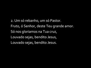 2. Um só rebanho, um só Pastor. Fruto, ó Senhor, deste Teu grande amor. Só nos gloriamos na Tua cruz, Louvado sejas, bendito Jesus, Louvado sejas, bendito Jesus. 