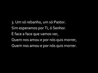 3. Um só rebanho, um só Pastor. Sim esperamos por Ti, ó Senhor. É face a face que vamos ver, Quem nos amou e por nós quis morrer, Quem nos amou e por nós quis morrer. 
