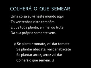 COLHERÁ  O  QUE  SEMEAR Uma coisa eu vi neste mundo aqui Talvez tenhas visto também É que toda planta, animal ou fruta Da sua própria semente vem. /: Se plantar tomate, vai dar tomate   Se plantar abacate, vai dar abacate   Se plantar arroz, arroz vai dar   Colherá o que semear. :/ 